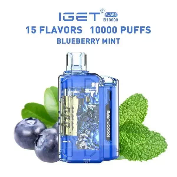 IGET Flare B10000 Blueberry Mint Online in Mumbai | 10000 Puffs Vape | Same Day Delivery - Vape Shop Mumbai