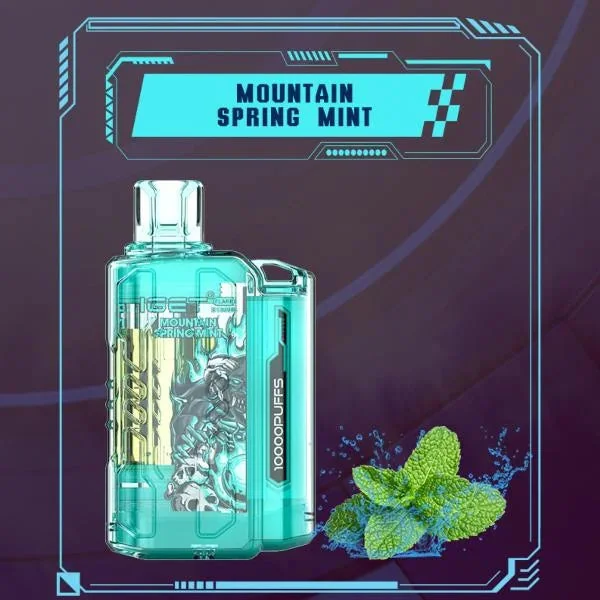 IGET FLARE B10000 Disposable Vape 10000 Puffs � Mountain Spring Mint - Vape Shop Mumbai